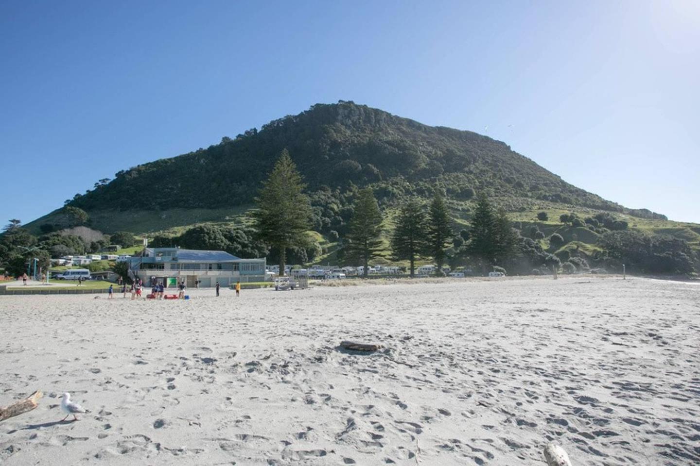 Luxury Ocean & Harbour Views - Heated Pool, Main Beach & Gym Mount Maunganui Εξωτερικό φωτογραφία